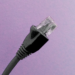 Network Cabling CAT6 Connection